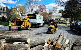 Best Tree Trimming and Pruning  in Spanish Fork, UT